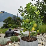 Дом отдыха Grandin Holidayhouse Домазо
